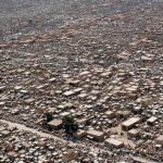 Cimitero Wad Al-Salaam